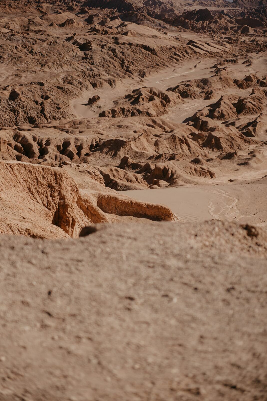 Foto Deserto do Atacama - Uma viagem memorável! - Imagem 68