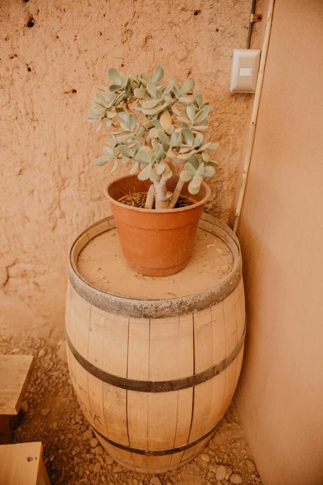 Foto Deserto do Atacama - Uma viagem memorável! - Imagem 66