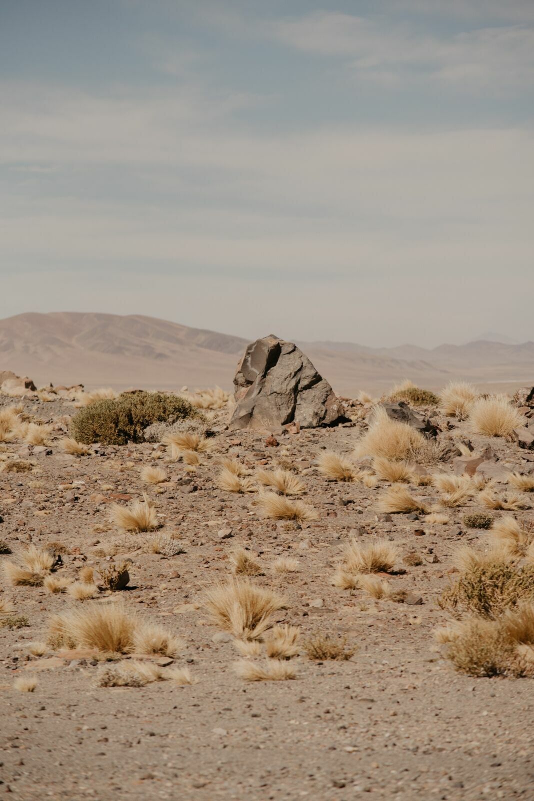 Foto Deserto do Atacama - Uma viagem memorável! - Imagem 43