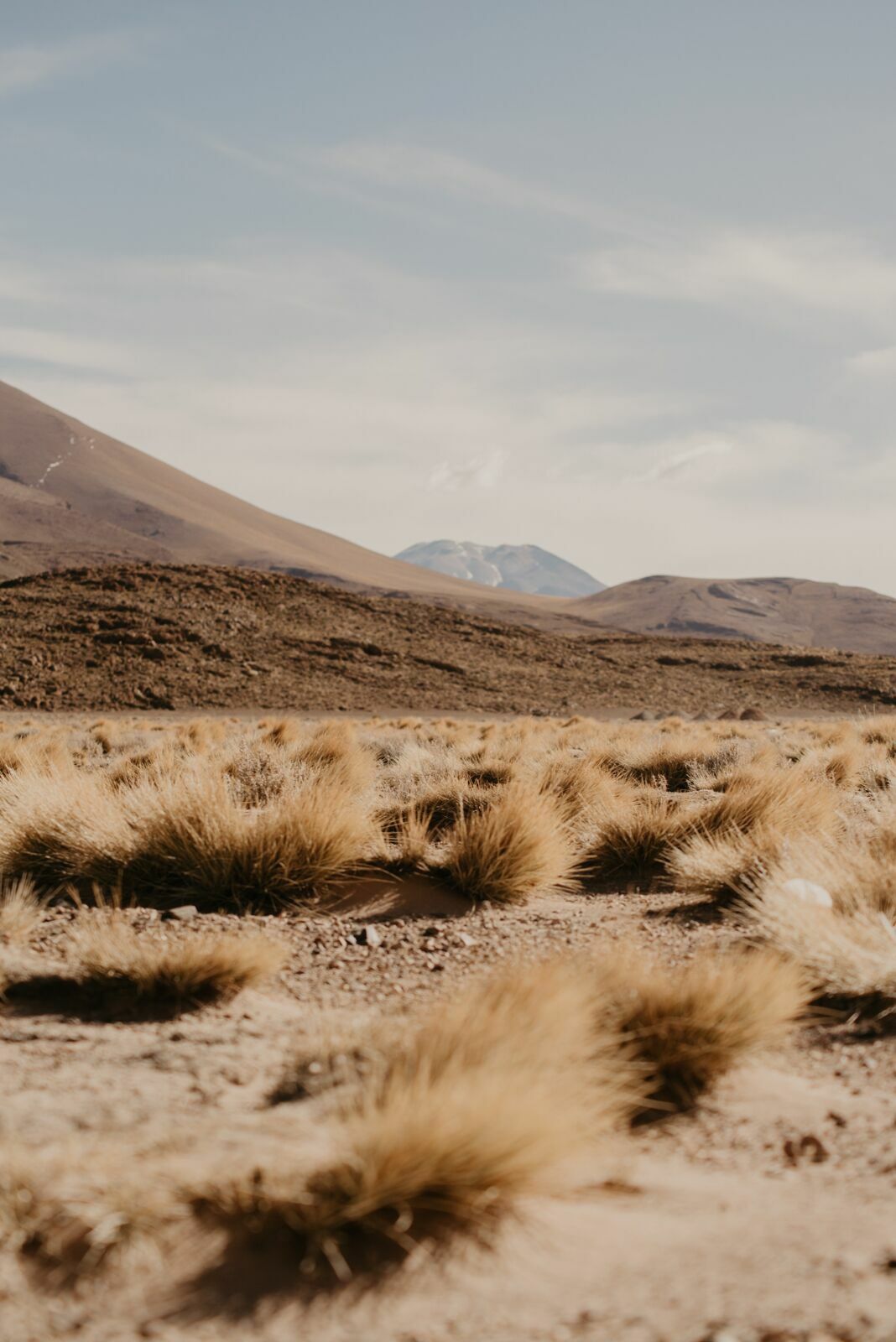 Foto Deserto do Atacama - Uma viagem memorável! - Imagem 40