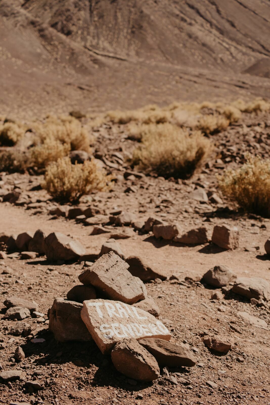 Foto Deserto do Atacama - Uma viagem memorável! - Imagem 77