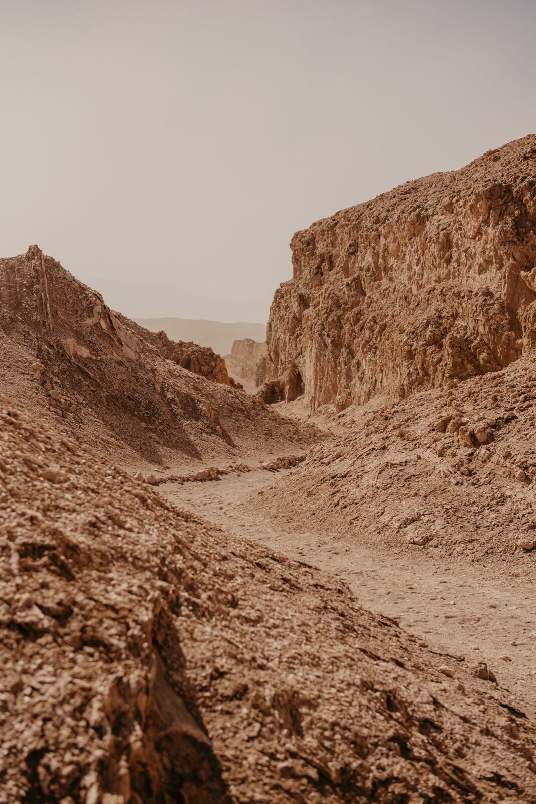 Foto Deserto do Atacama - Uma viagem memorável! - Imagem 61