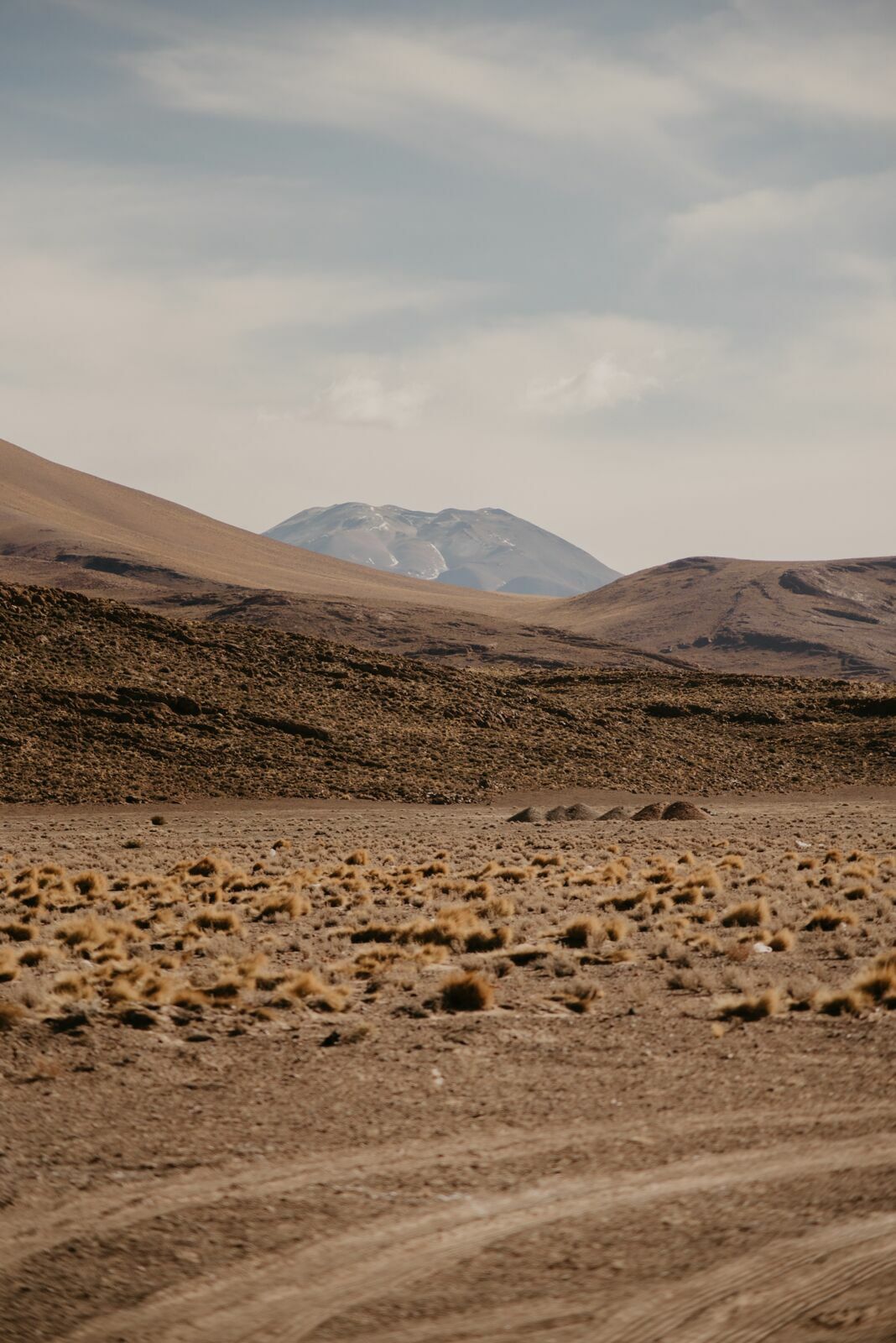 Foto Deserto do Atacama - Uma viagem memorável! - Imagem 38