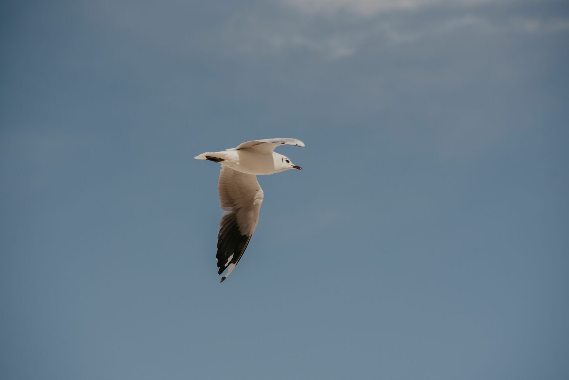Foto Deserto do Atacama - Uma viagem memorável! - Imagem 42