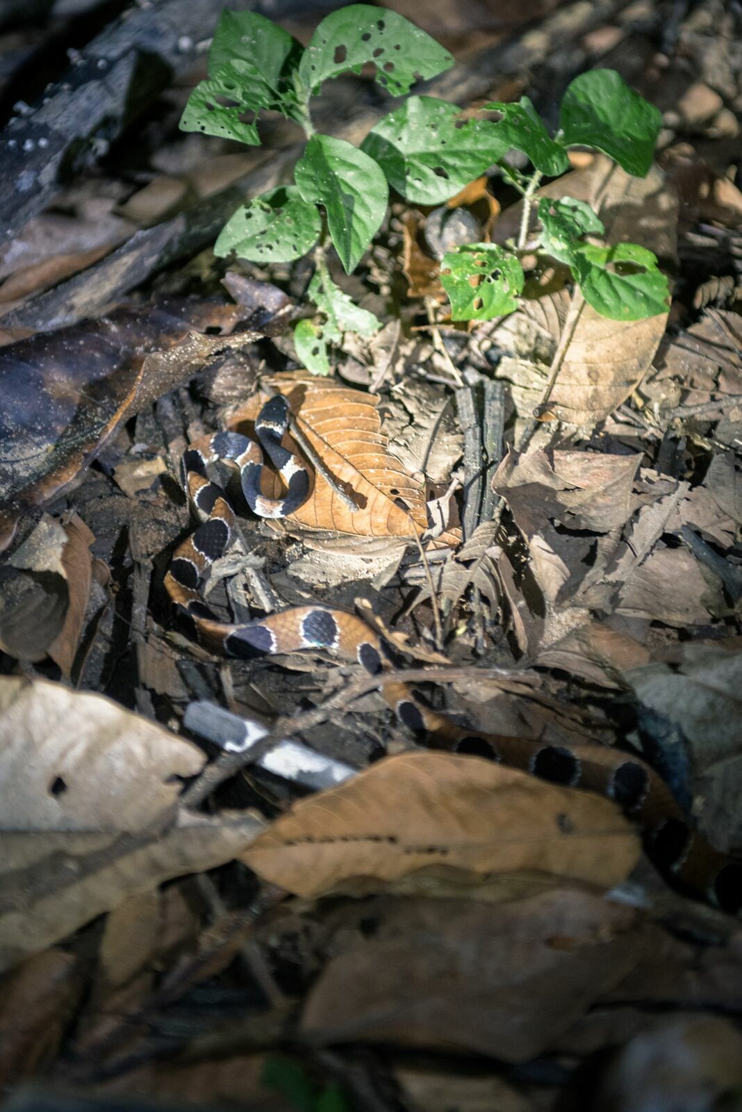Foto Uma aventura sem perrengue é só um passeio! - Imagem 46