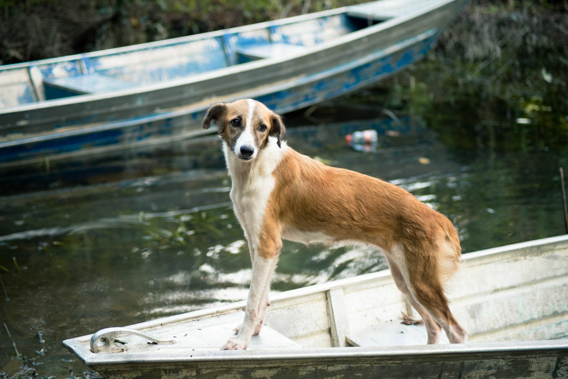 Foto Uma aventura sem perrengue é só um passeio! - Imagem 19