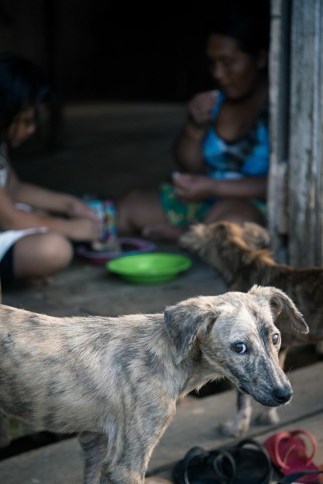 Foto Uma aventura sem perrengue é só um passeio! - Imagem 32