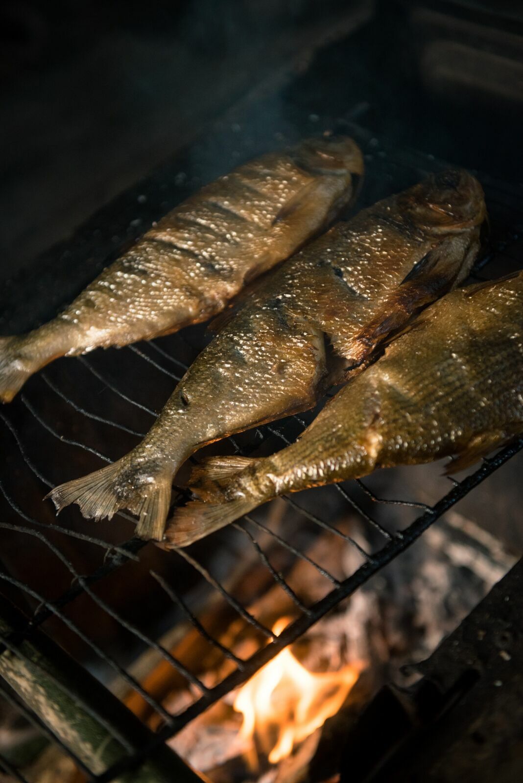 Foto Uma aventura sem perrengue é só um passeio! - Imagem 27