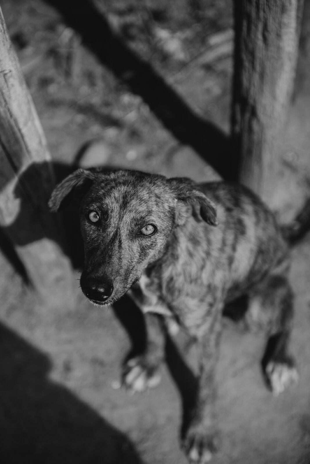 Foto Uma aventura sem perrengue é só um passeio! - Imagem 59