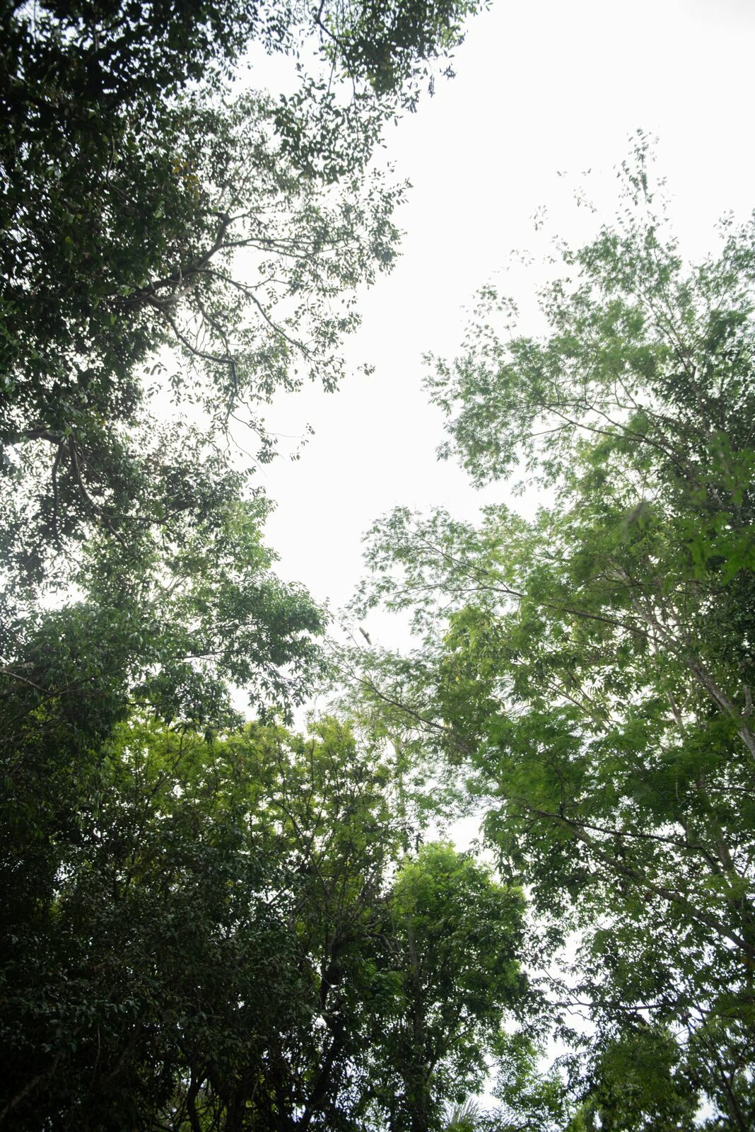 Foto Uma aventura sem perrengue é só um passeio! - Imagem 87