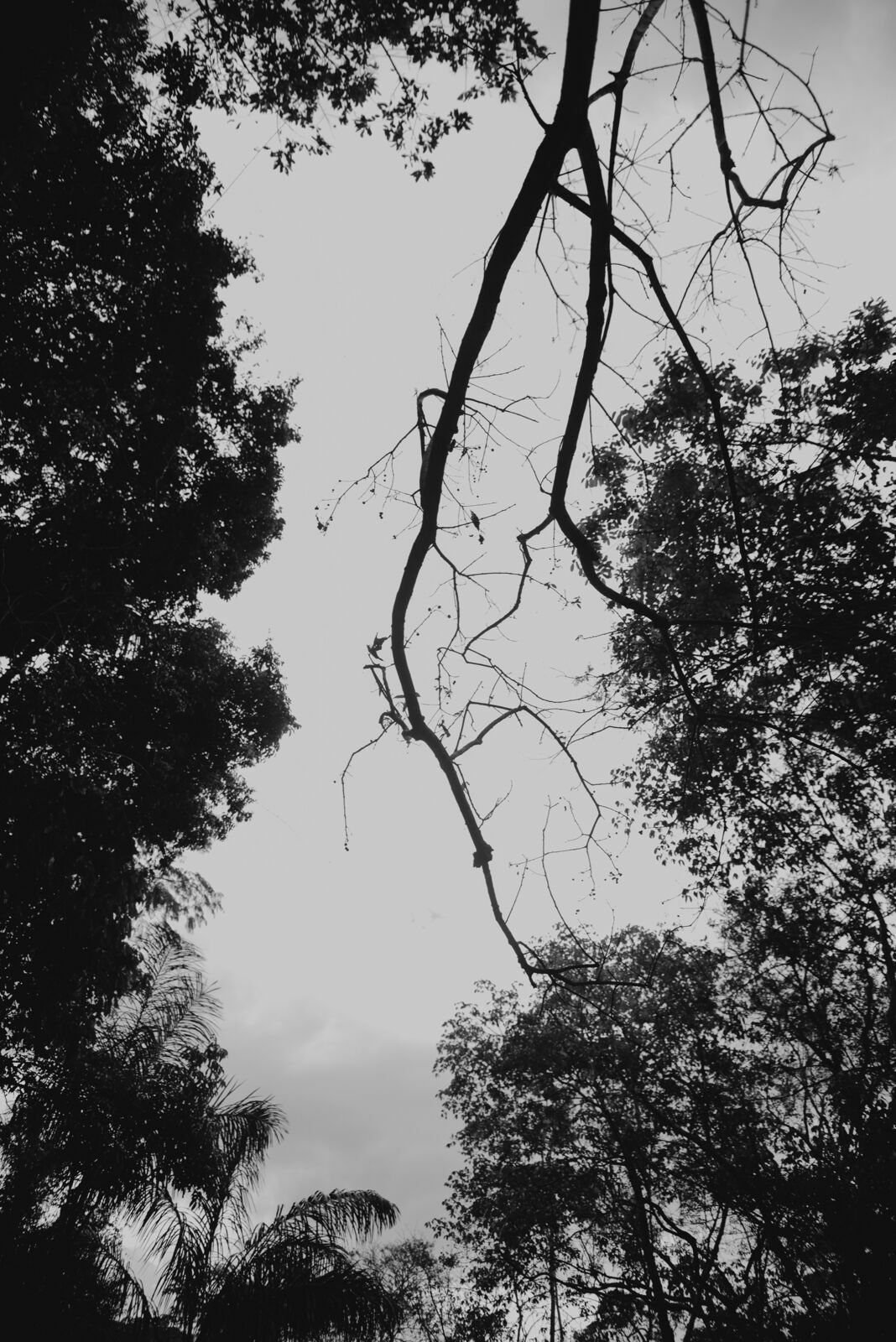 Foto Uma aventura sem perrengue é só um passeio! - Imagem 93