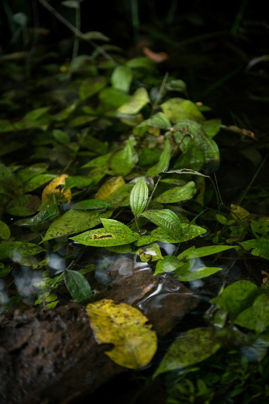 Foto Uma aventura sem perrengue é só um passeio! - Imagem 96