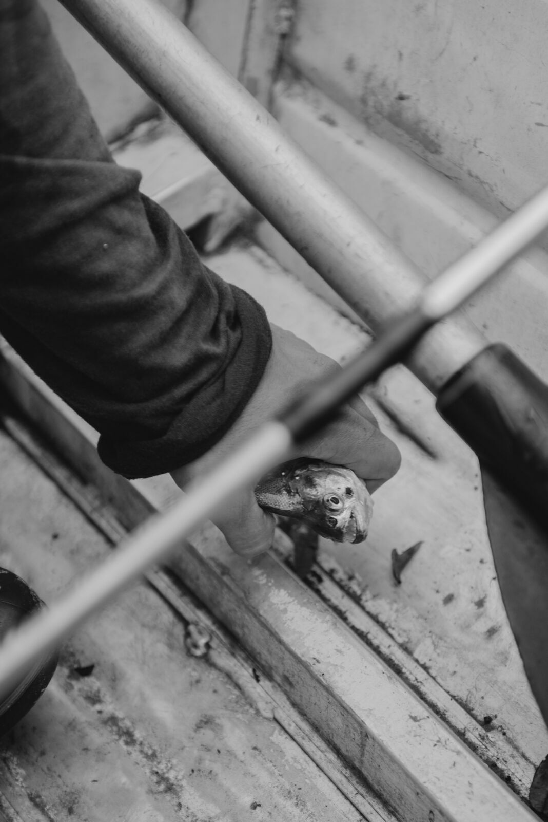 Foto Uma aventura sem perrengue é só um passeio! - Imagem 95